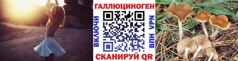 Галлюциногенные грибы Psilocybine cubensis  Купить  Порхов 