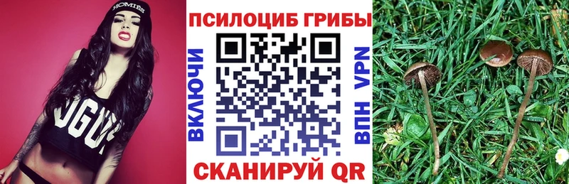 Псилоцибиновые грибы прущие грибы Порхов