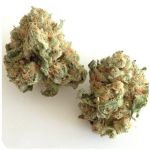 Шишки "White Widow"  (Белая вдова)  Гидропоника -  Бошка VHQ в Порхове